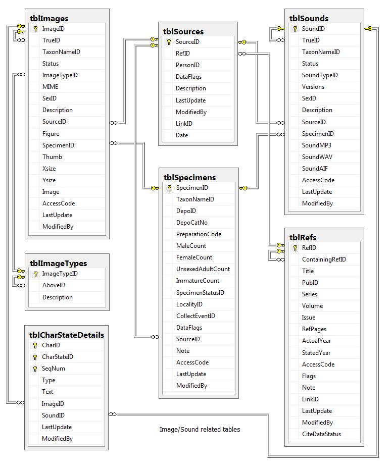 TableDiagram